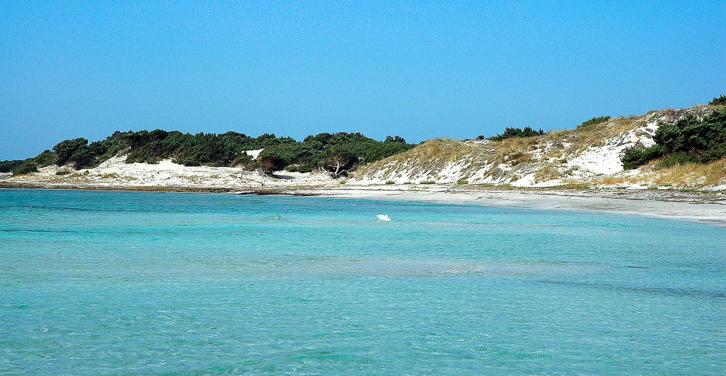 Cala Zafferano | Port of Olbia